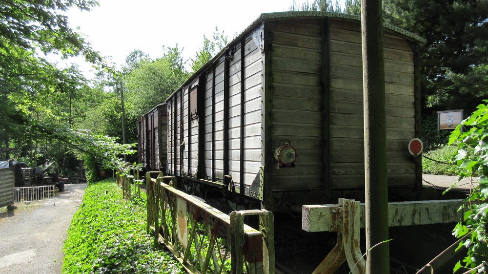 Camiones de ferrocarril en el bosque de Eperlecques