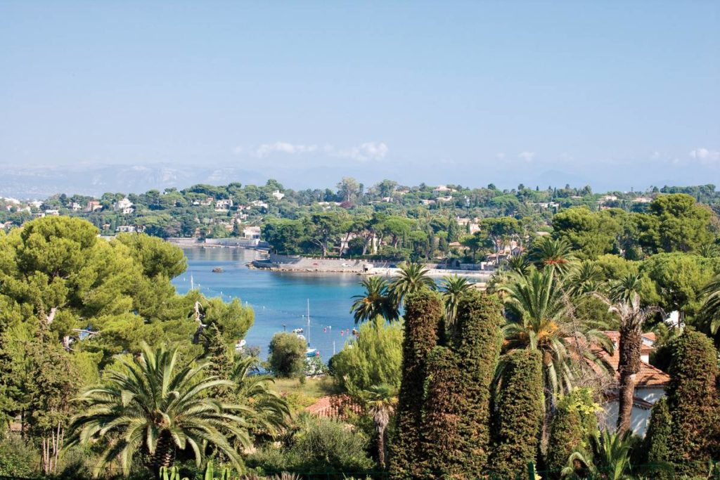 Una vista sobre los árboles al mar desde el Cap d'Antibes