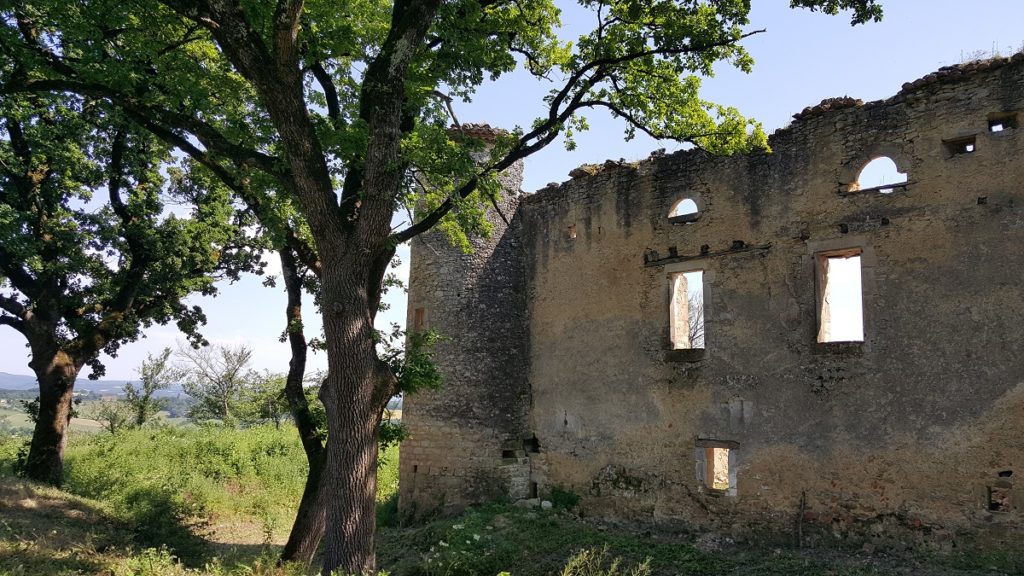 Las ruinas del Chateau de Montfa en el campo con un árbol en primer plano