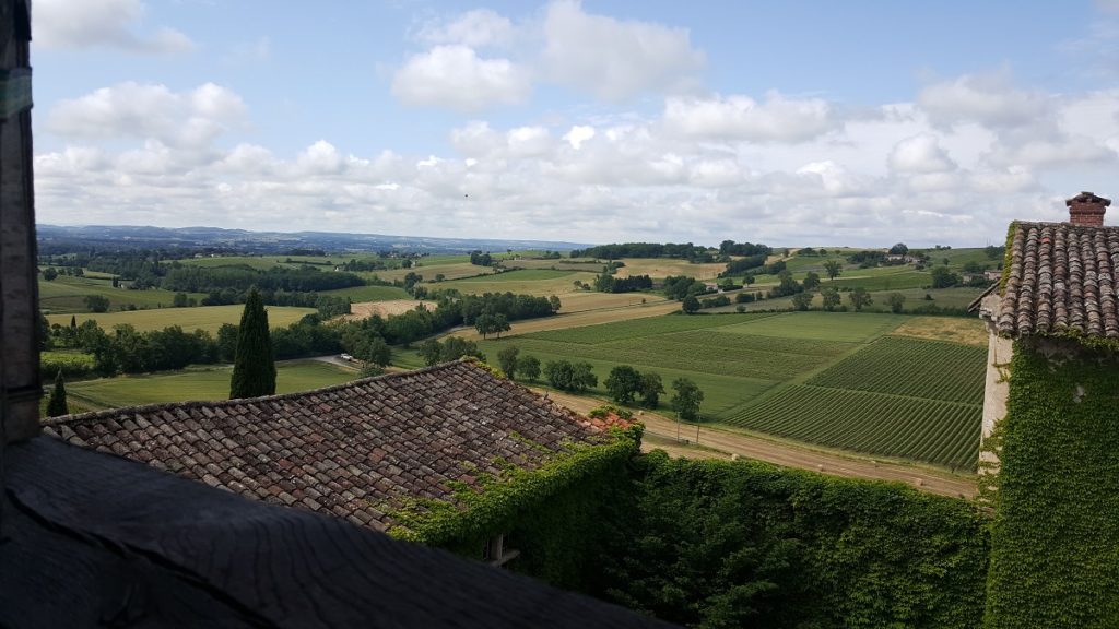 Vista desde la ventana con techos cubiertos de hiedra y campo con viñedo contra el fondo de la nube