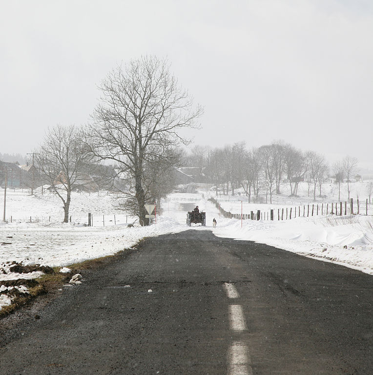 Foto en blanco y negro mirando por la carretera con campos de nieve