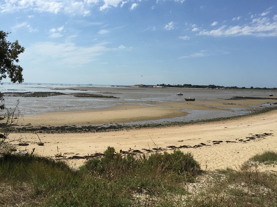 Mirando desde el camino de arena y la playa hasta el mar más allá