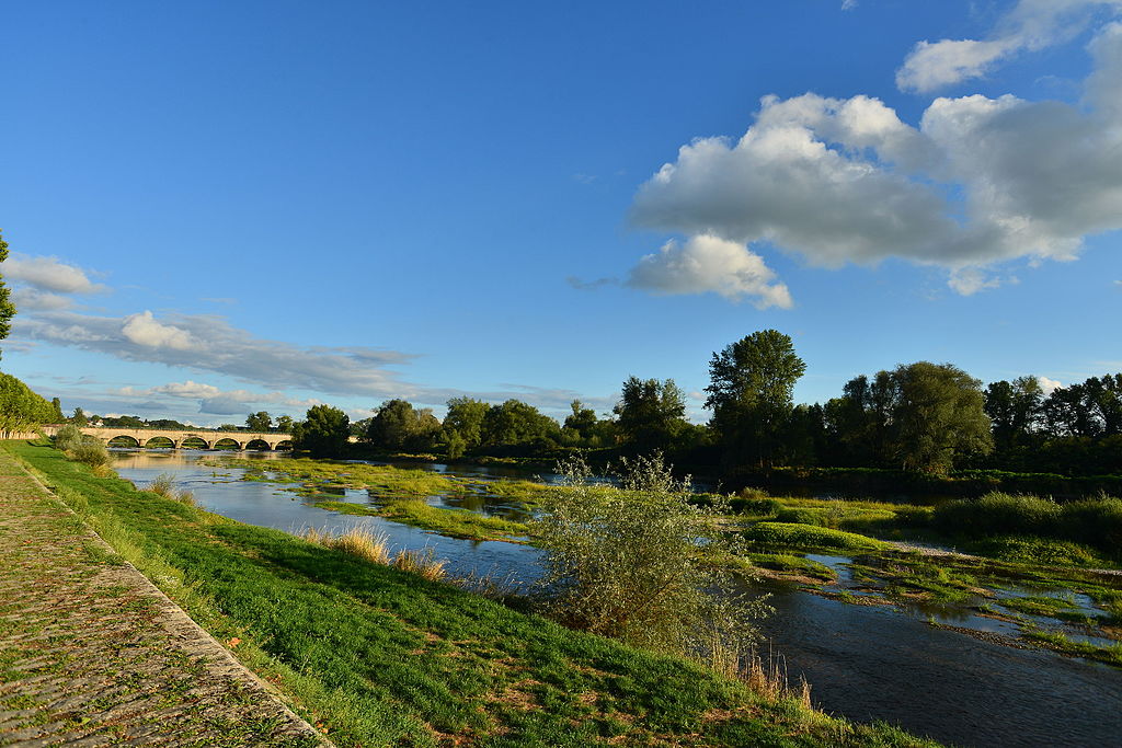 Mirando el río Loira desde un banco con otro opuesto hacia un viejo puente de piedra y Digoin más allá