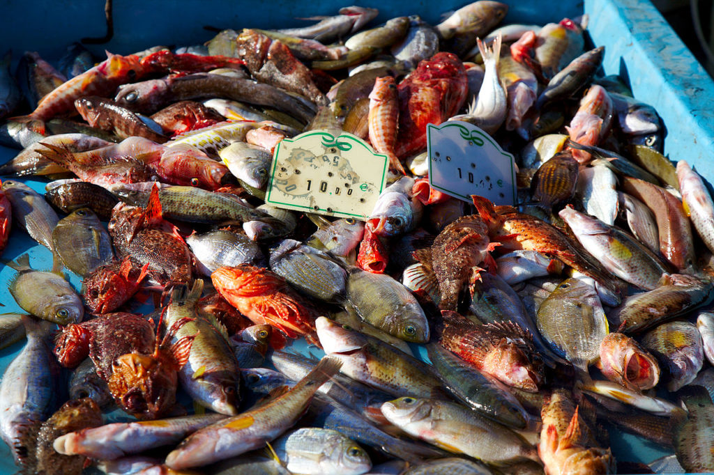 pescado para bullabesa en el Puerto Viejo de Marsella