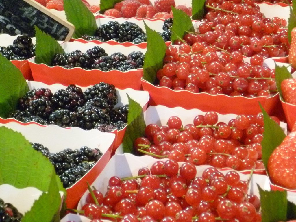 Pequeñas cajas de cartón de frambuesas y moras en azul oscuro y rojo