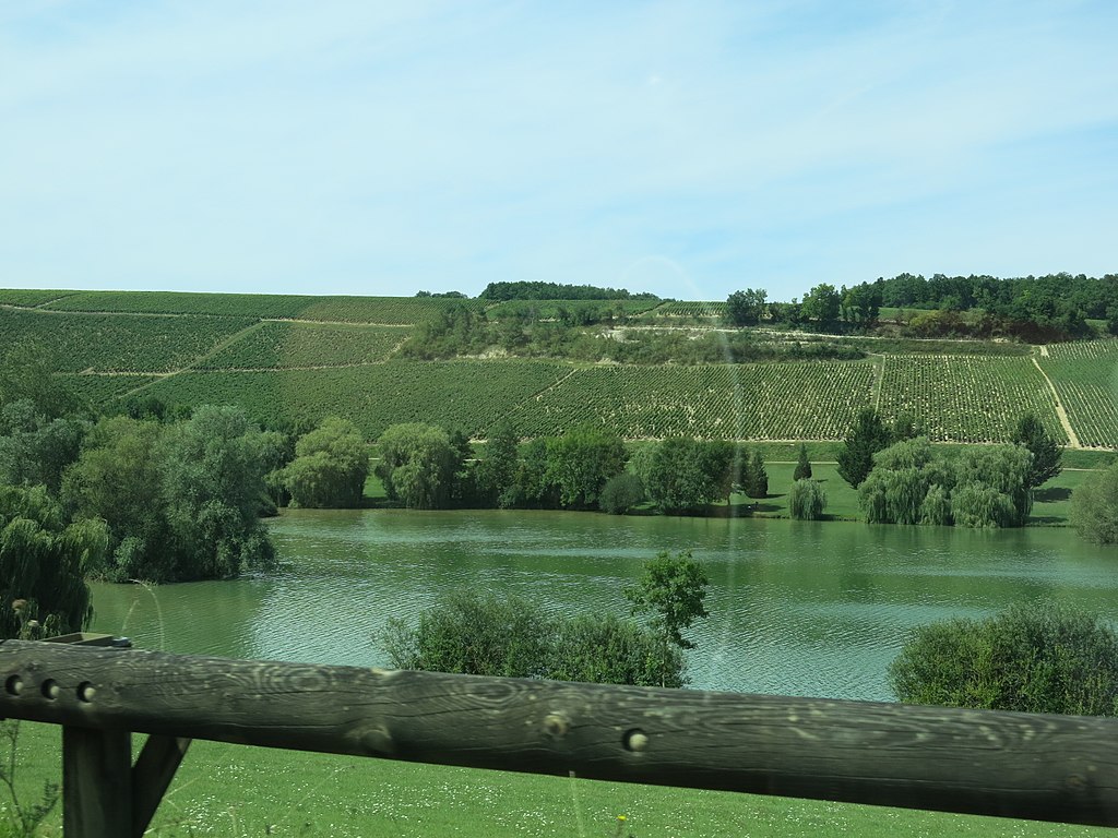 Viñedos cerca de Chablis desde una orilla del río Yonne con vistas a los viñedos en una colina de suave pendiente