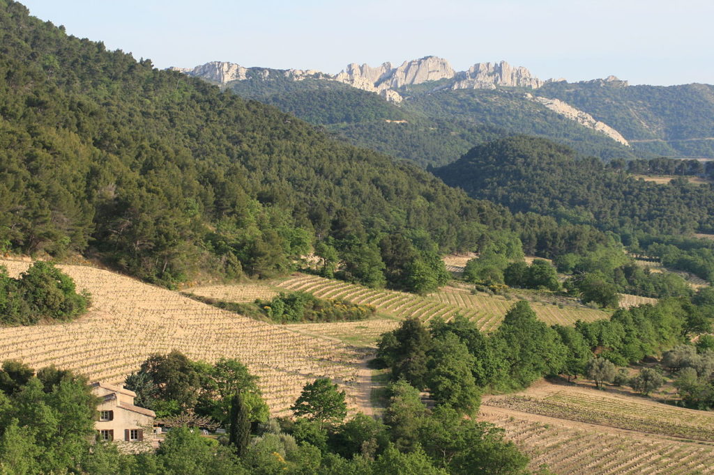 Vista larga del viñedo Cote du Rhone Montmirail con montañas en el fondo, campos verdes y amarillos y vides en primer plano