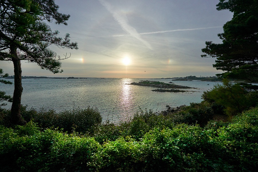 Jardín de Georges Delasalle en la isla de Bretaña de Ile de Batz con el sol saliendo sobre el horizonte del mar, con vegetación y árboles en el fondo