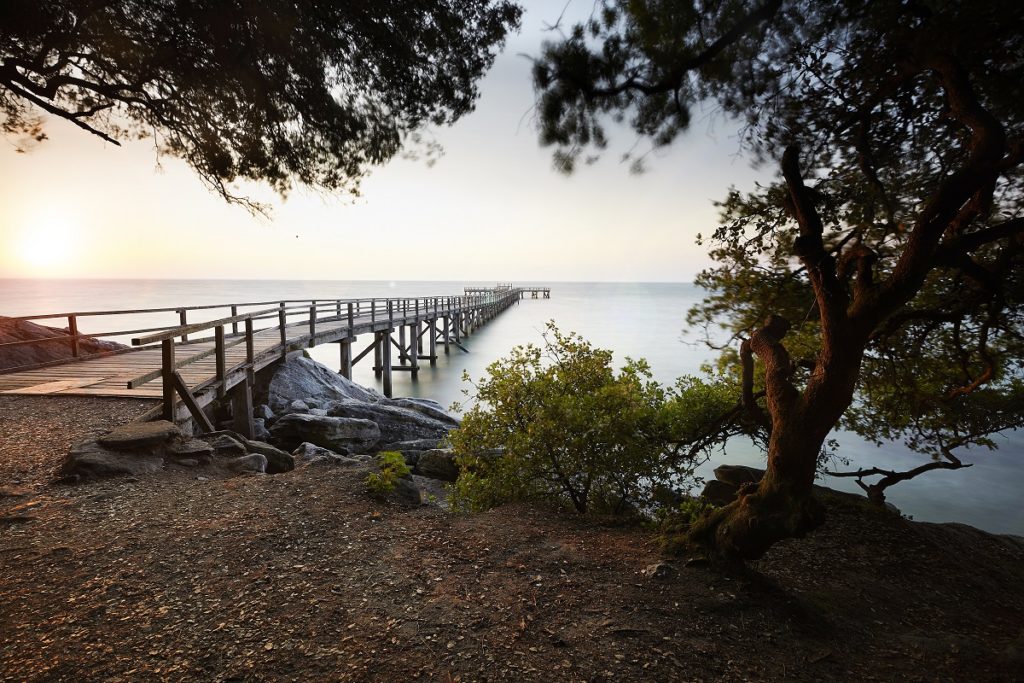 Isla Noirmoutier en la costa atlántica de Francia con vistas desde un camino arbolado hasta un paseo marítimo que se adentra en el mar