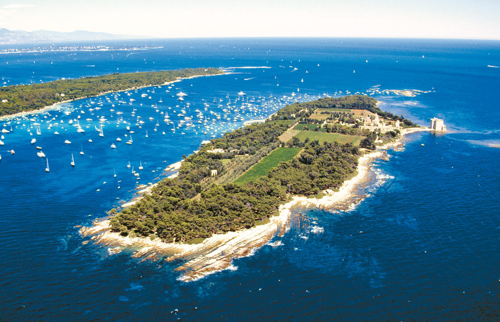 Vista aérea del Dt Honorat y el mar lleno de yates