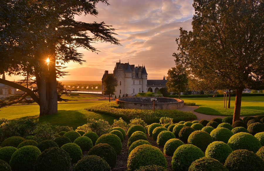 Castillo de Amboise al atardecer con un edificio de piedra blanca en el fondo y macizos de flores verdes en primer plano