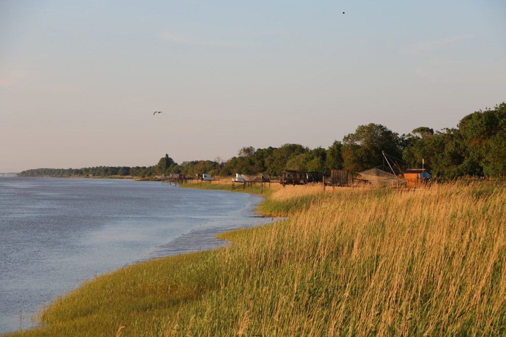 El estuario de la Gironda con rápidos en tierra a la izquierda, el mar a la derecha y redes de pesca en la distancia