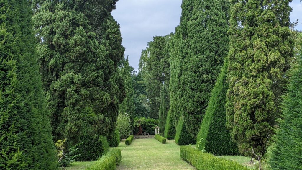 Chateau de Bazouges Loir Valley garden walk con una amplia avenida verde entre tejos cortados en diferentes formas