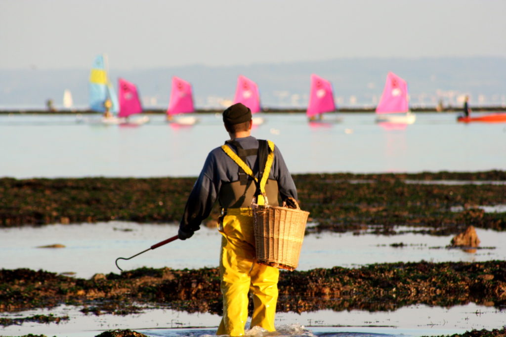 Un pescador en el mar en Calvados Normandía de pie en la playa con una cesta en la espalda 