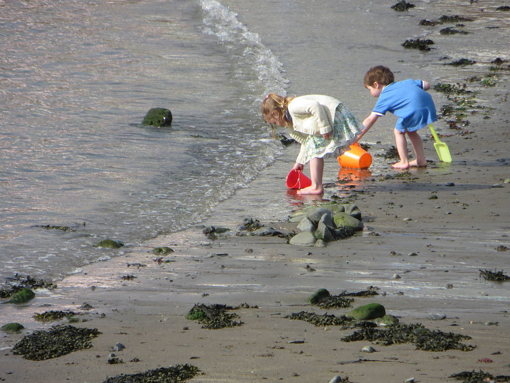 Dos niños de alrededor de 5 años jugando con baldes en la arena en el mar poco profundo