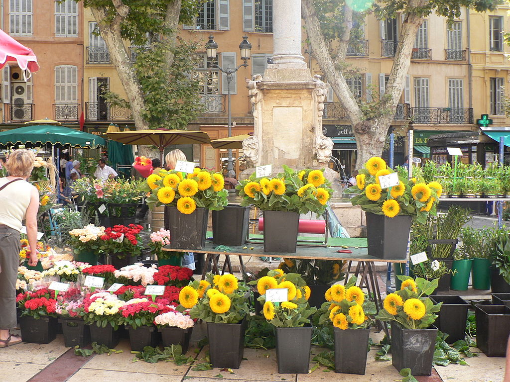 enormes racimos de girasoles amarillos y otras plantas rojas y amarillas en cubos en el mercado de aix en provence con una columna detrás en una plaza con casas de color ocre