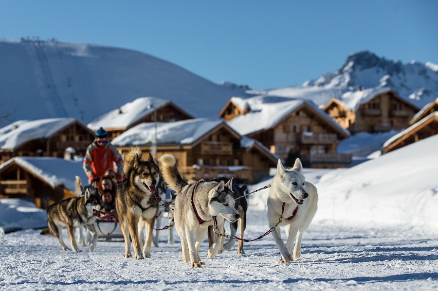 Trineos tirados por perros en invierno en Alpe d'Huez con un equipo de perros acostumbrados a un trineo a punto de despegar con trineos en el fondo