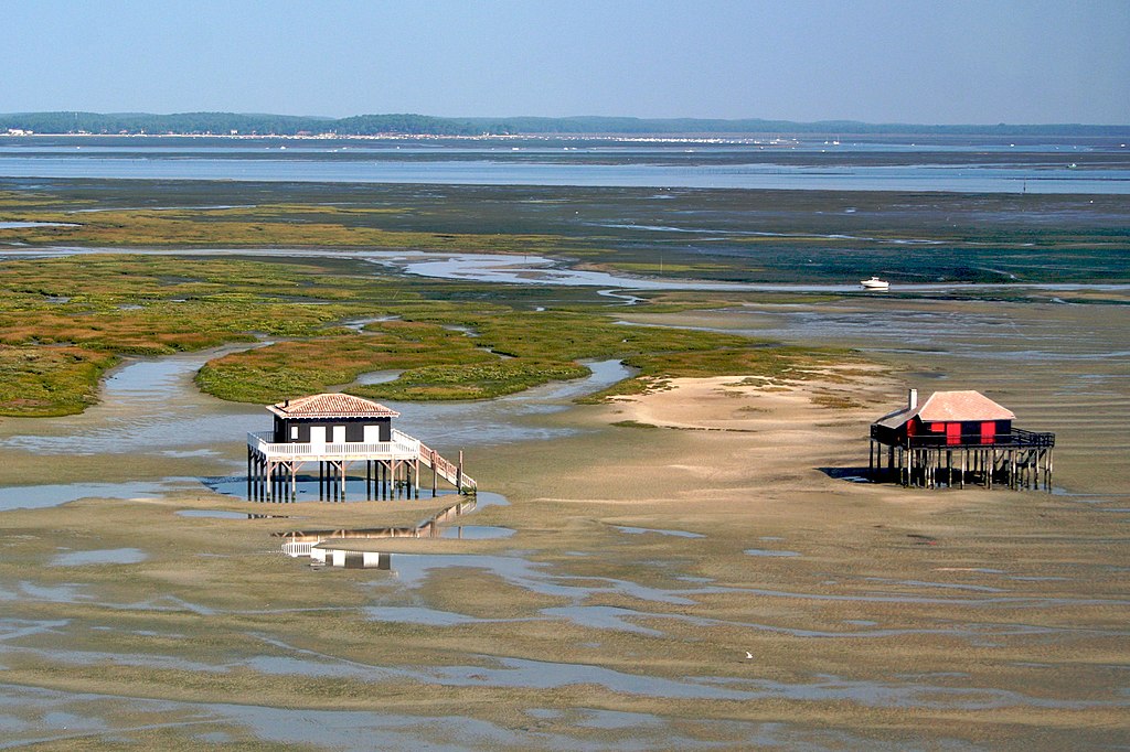 Cabañas de observación de aves en la bahía de Arcachon, en la costa atlántica de Francia. Muy vista con dos pequeñas cabañas de observación de aves de 2 pisos en humedales con agua y zonas verdes, gran extensión de agua y costa al fondo