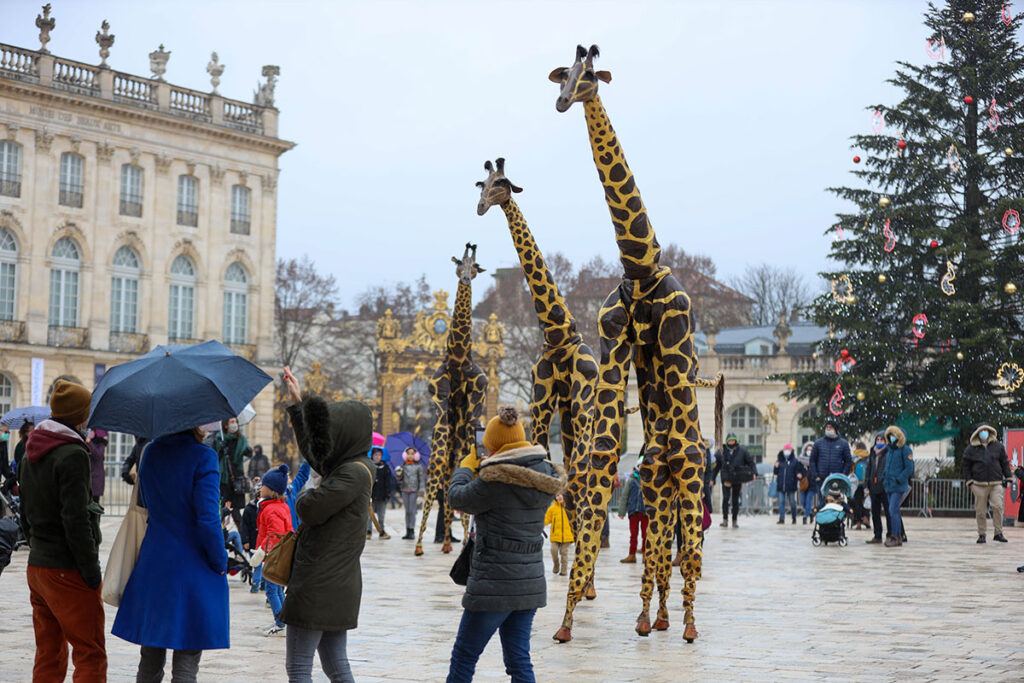 Dos jirafas cuadradas gigantes (modelos) en el Festival de Nancy St Nicolas con gente tomando fotos y un árbol de Navidad a la derecha