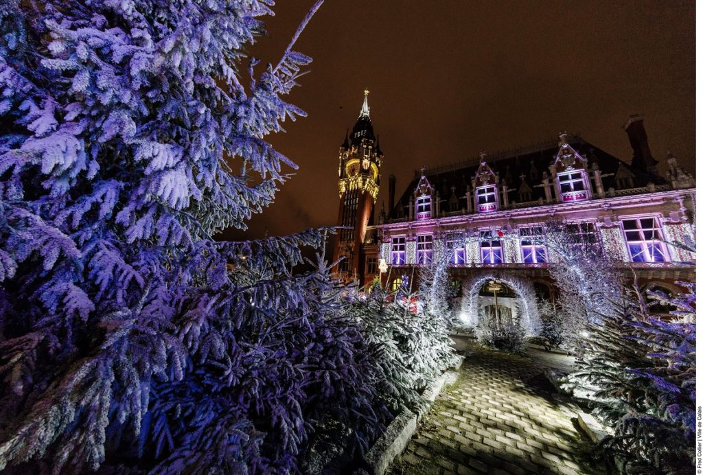 Noche con árboles de Navidad iluminados de un bosque en primer plano y el Ayuntamiento iluminado al fondo