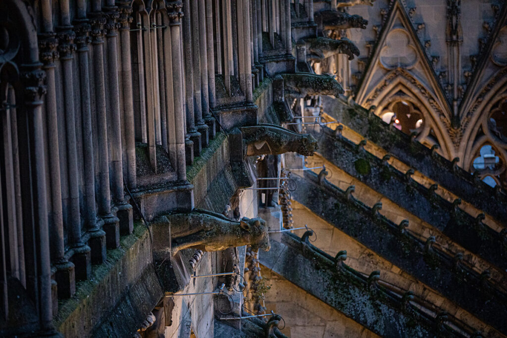 Vista desde el techo de la catedral de Reims mirando hacia las gárgolas y los arbotantes