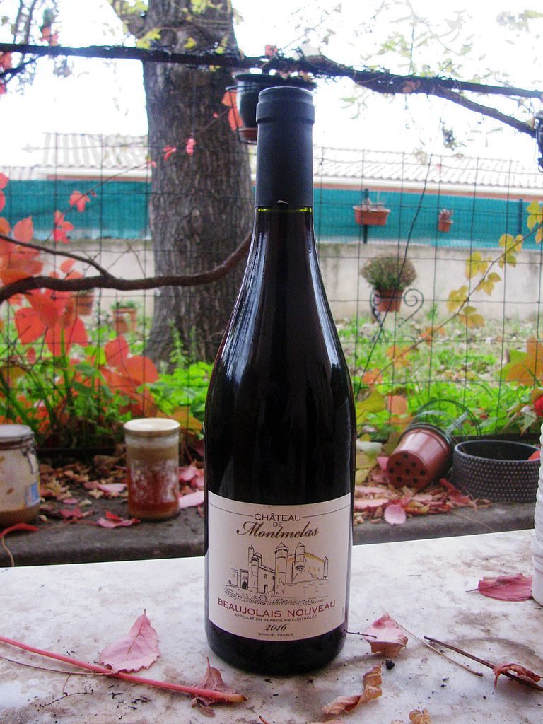 Botella de Beaujolais Nouveau sobre la mesa con flores y fondo de vides