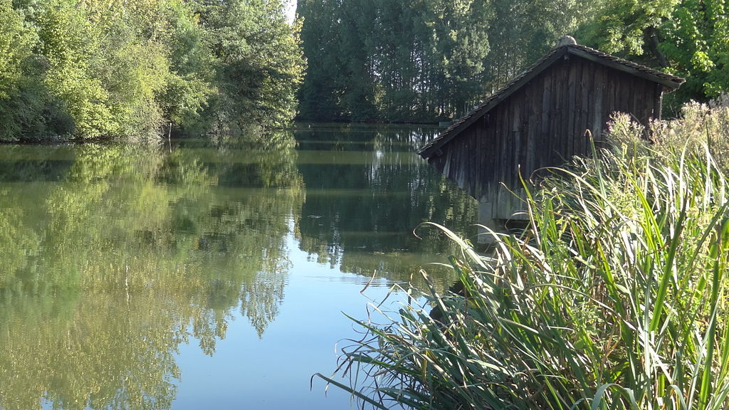 Le Loir con agua que aún refleja el cielo y arbustos a la derecha y bancos con grandes árboles a izquierda y a izquierda