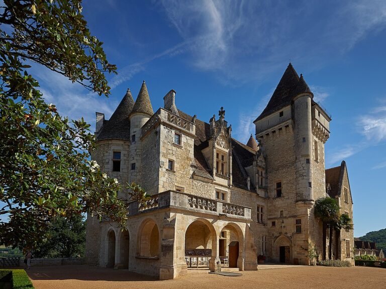 Chateau des milandes desde el frente que muestra una gran torre a la derecha, techos de piedra, paredes y balcones que dan a un camino de grava y árboles a la izquierda