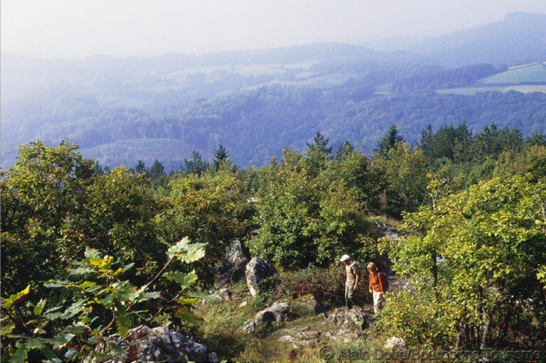 Caminantes por delante en la ladera de una colina con vistas al vasto paisaje de Morvan, Borgoña