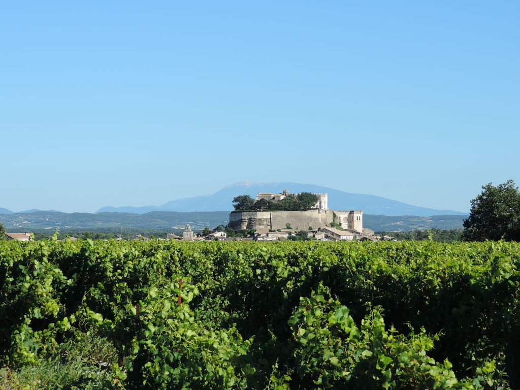 El castillo de Grignan se asienta sobre una roca en la distancia con montañas cubiertas de nieve detrás y viñedos por delante