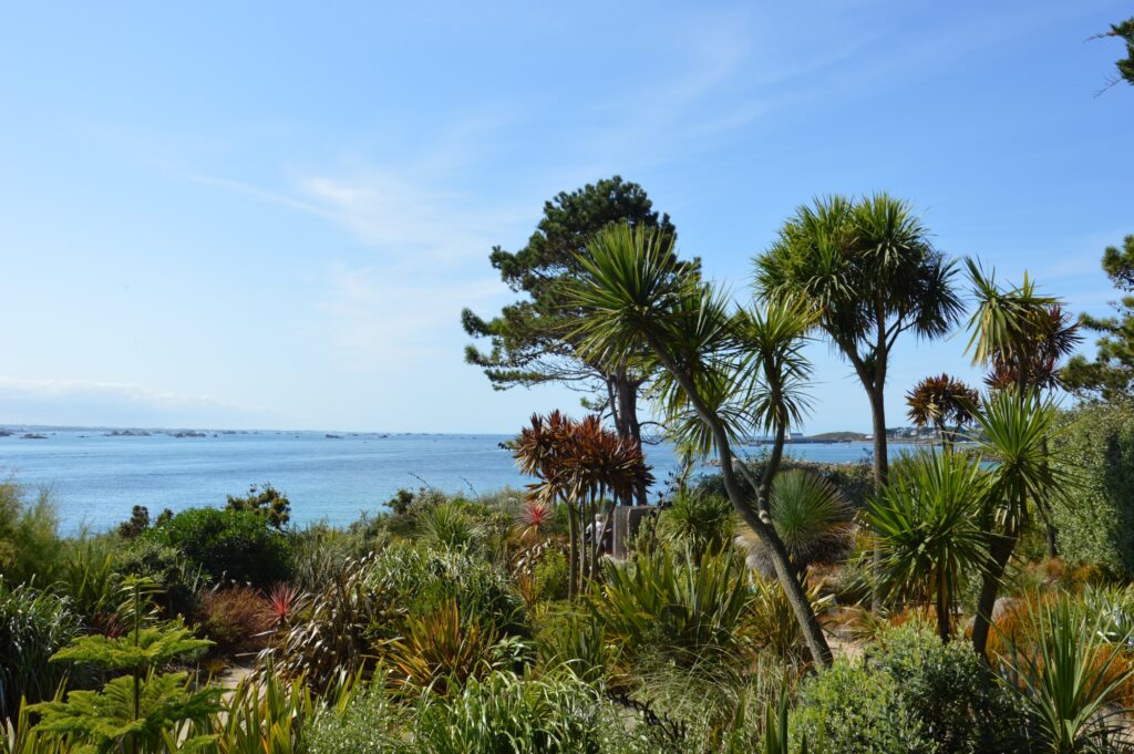 El jardín de Georges Delasalle en Ile de Batz, Bretaña, que muestra árboles tropicales en una cornisa verde alta con el mar de fondo